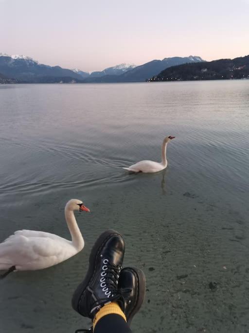 Cocon A La Campagne,Proche Annecy Apartamento Alby-sur-Cheran Exterior foto