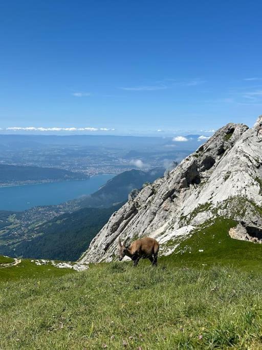 Cocon A La Campagne,Proche Annecy Apartamento Alby-sur-Cheran Exterior foto