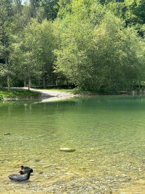 Cocon A La Campagne,Proche Annecy Apartamento Alby-sur-Cheran Exterior foto